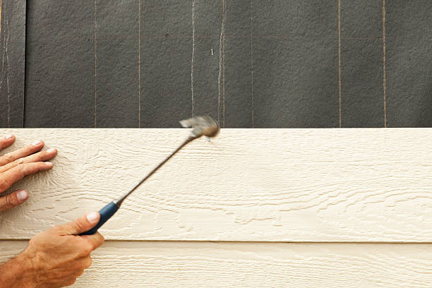 Best Custom Siding Design  in Fincastle, TN